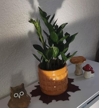 Apartament Ruhige Sout. Whg. Feldrandnaehe Seligenstadt Zewnętrze zdjęcie