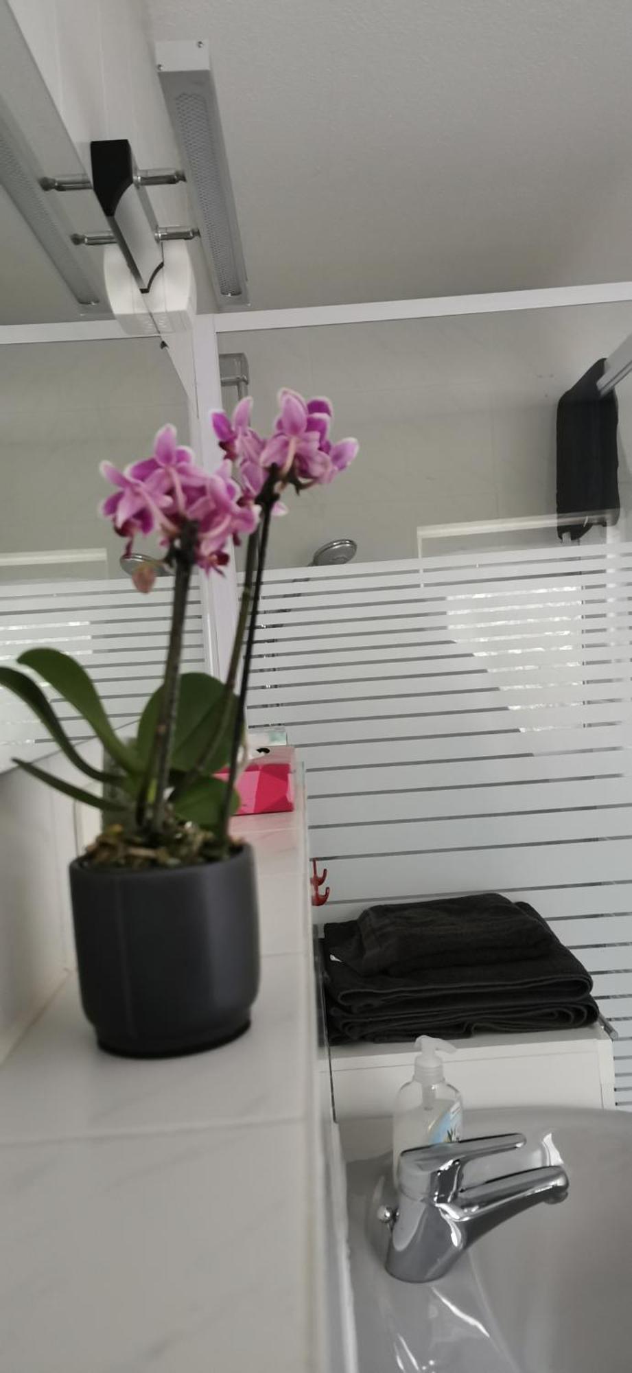 Apartament Ruhige Sout. Whg. Feldrandnaehe Seligenstadt Zewnętrze zdjęcie